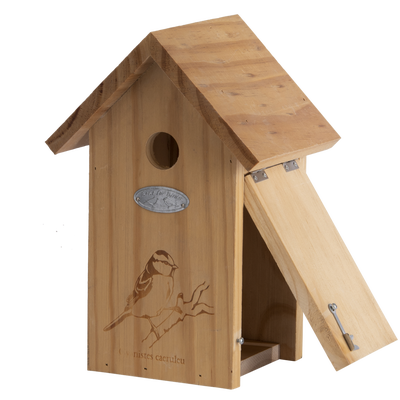 Nido Pajaros Silueta Herrerillo Azul